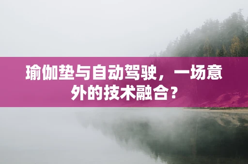 瑜伽垫与自动驾驶，一场意外的技术融合？