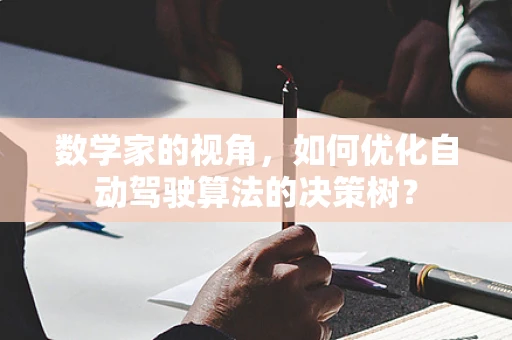 数学家的视角，如何优化自动驾驶算法的决策树？