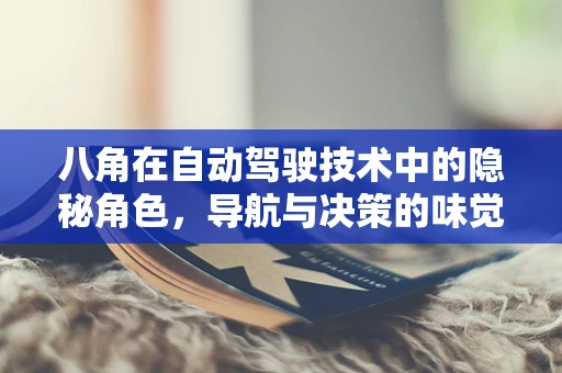 八角在自动驾驶技术中的隐秘角色，导航与决策的味觉纽带？