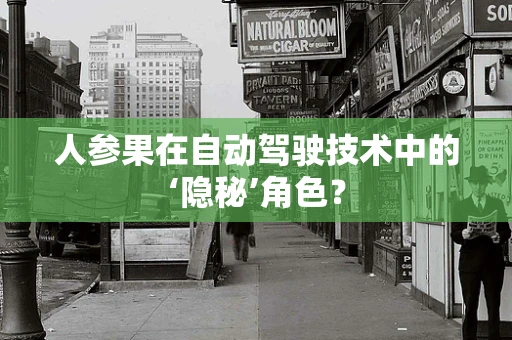 人参果在自动驾驶技术中的‘隐秘’角色？