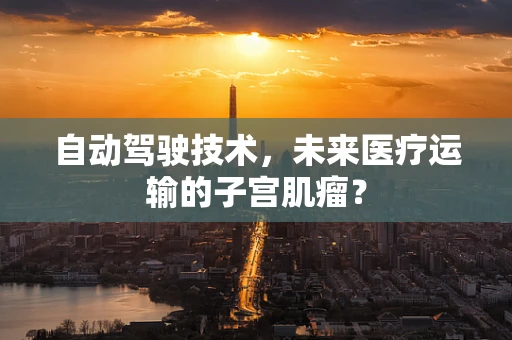 自动驾驶技术，未来医疗运输的子宫肌瘤？