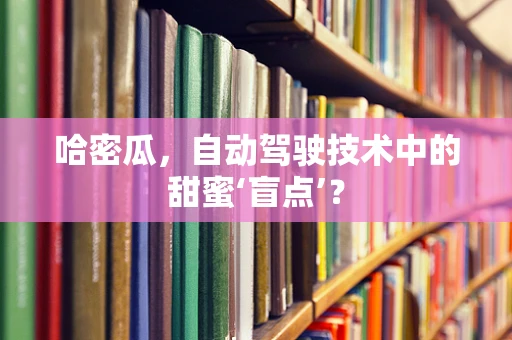 哈密瓜，自动驾驶技术中的甜蜜‘盲点’？