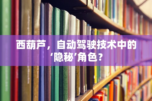 西葫芦，自动驾驶技术中的‘隐秘’角色？