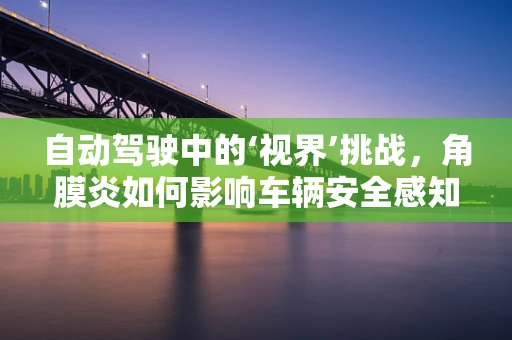 自动驾驶中的‘视界’挑战，角膜炎如何影响车辆安全感知？