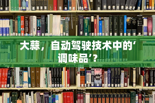 大蒜，自动驾驶技术中的‘调味品’？