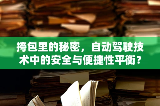 挎包里的秘密，自动驾驶技术中的安全与便捷性平衡？