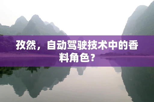 孜然，自动驾驶技术中的香料角色？