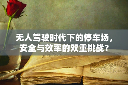 无人驾驶时代下的停车场，安全与效率的双重挑战？