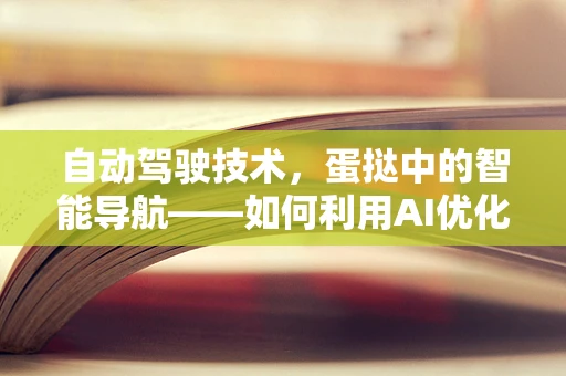 自动驾驶技术，蛋挞中的智能导航——如何利用AI优化配送效率？