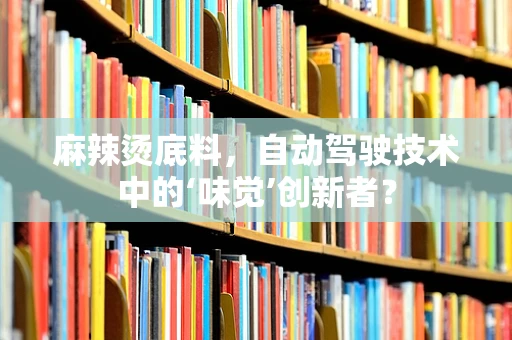 麻辣烫底料，自动驾驶技术中的‘味觉’创新者？