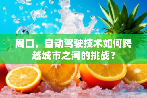 周口，自动驾驶技术如何跨越城市之河的挑战？