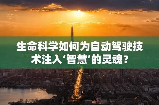 生命科学如何为自动驾驶技术注入‘智慧’的灵魂？