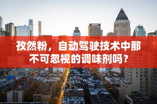 孜然粉，自动驾驶技术中那不可忽视的调味剂吗？