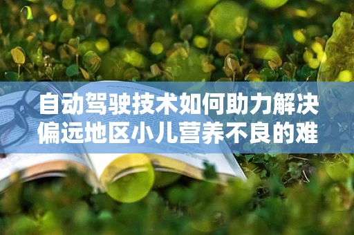 自动驾驶技术如何助力解决偏远地区小儿营养不良的难题？