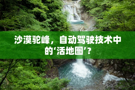 沙漠驼峰，自动驾驶技术中的‘活地图’？