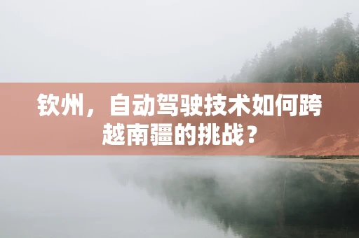 钦州，自动驾驶技术如何跨越南疆的挑战？