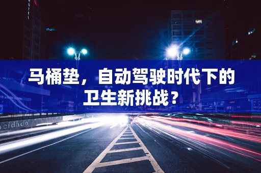 马桶垫，自动驾驶时代下的卫生新挑战？