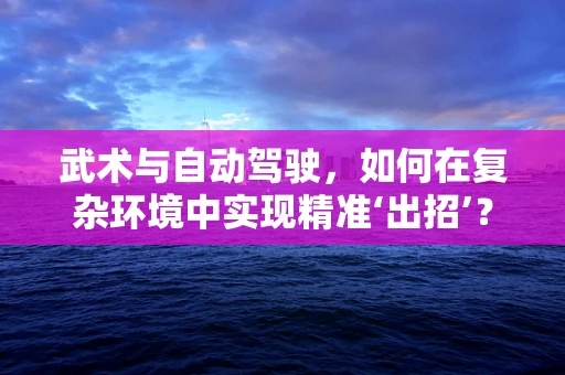 武术与自动驾驶，如何在复杂环境中实现精准‘出招’？