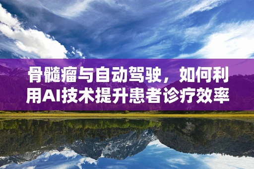 骨髓瘤与自动驾驶，如何利用AI技术提升患者诊疗效率？