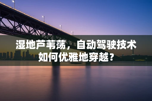 湿地芦苇荡，自动驾驶技术如何优雅地穿越？