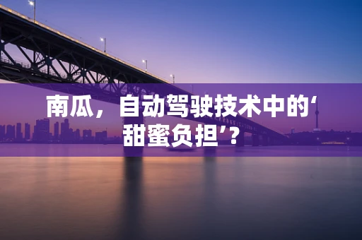 南瓜，自动驾驶技术中的‘甜蜜负担’？