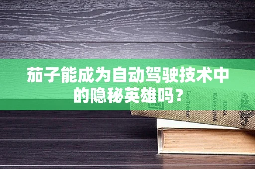 茄子能成为自动驾驶技术中的隐秘英雄吗？