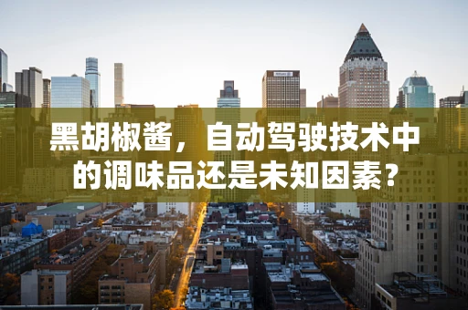 黑胡椒酱，自动驾驶技术中的调味品还是未知因素？