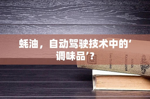 蚝油，自动驾驶技术中的‘调味品’？