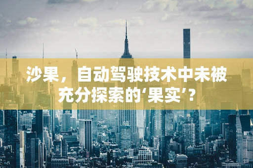 沙果，自动驾驶技术中未被充分探索的‘果实’？