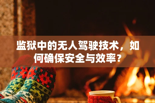 监狱中的无人驾驶技术，如何确保安全与效率？