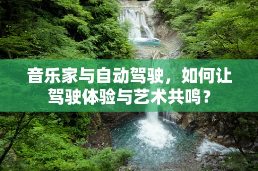 音乐家与自动驾驶，如何让驾驶体验与艺术共鸣？