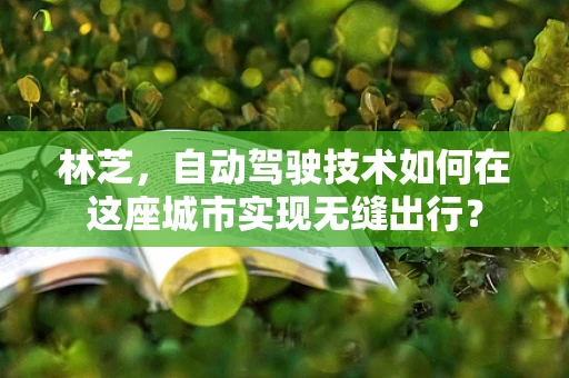 林芝，自动驾驶技术如何在这座城市实现无缝出行？