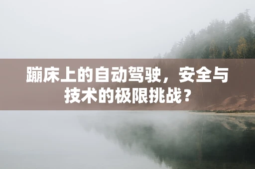 蹦床上的自动驾驶，安全与技术的极限挑战？