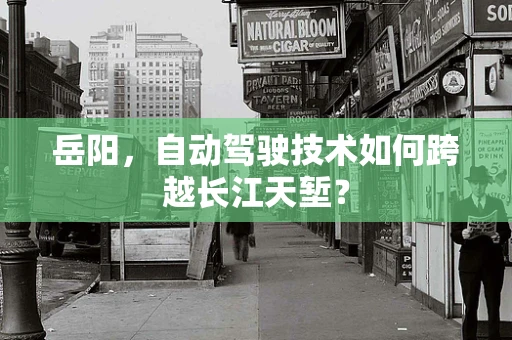 岳阳，自动驾驶技术如何跨越长江天堑？