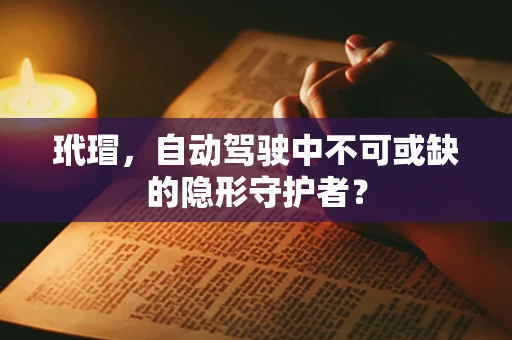 玳瑁，自动驾驶中不可或缺的隐形守护者？