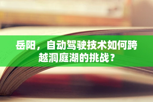 岳阳，自动驾驶技术如何跨越洞庭湖的挑战？