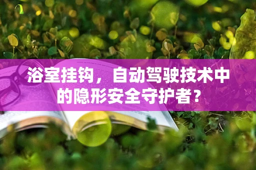 浴室挂钩，自动驾驶技术中的隐形安全守护者？