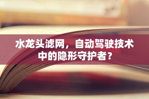 水龙头滤网，自动驾驶技术中的隐形守护者？