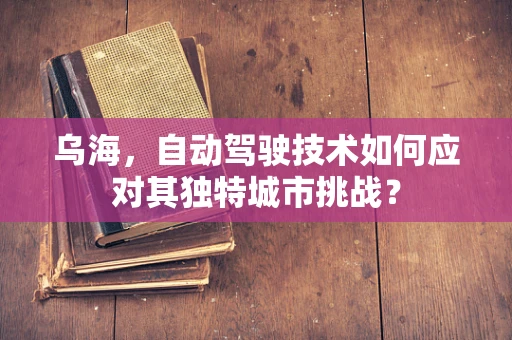 乌海，自动驾驶技术如何应对其独特城市挑战？