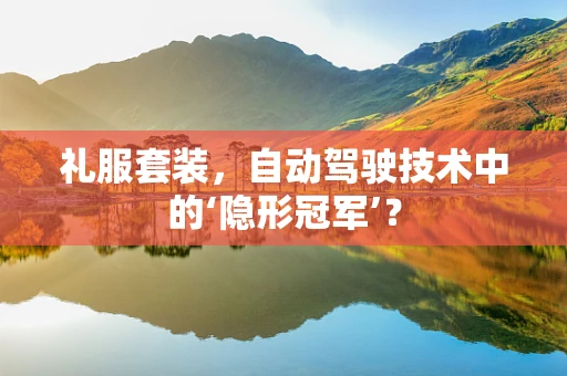 礼服套装，自动驾驶技术中的‘隐形冠军’？