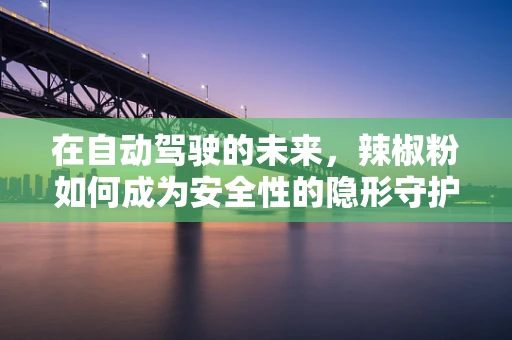 在自动驾驶的未来，辣椒粉如何成为安全性的隐形守护者？