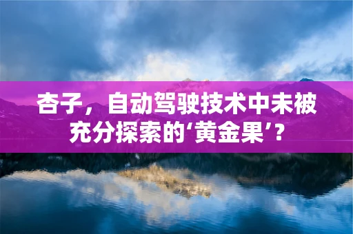 杏子，自动驾驶技术中未被充分探索的‘黄金果’？