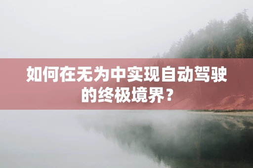 如何在无为中实现自动驾驶的终极境界？