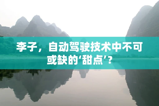 李子，自动驾驶技术中不可或缺的‘甜点’？