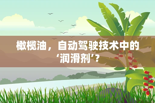 橄榄油，自动驾驶技术中的‘润滑剂’？