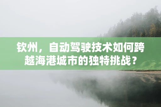 钦州，自动驾驶技术如何跨越海港城市的独特挑战？