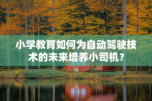 小学教育如何为自动驾驶技术的未来培养小司机？