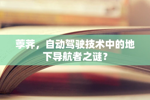 荸荠，自动驾驶技术中的地下导航者之谜？