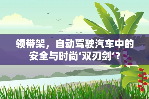 领带架，自动驾驶汽车中的安全与时尚‘双刃剑’？