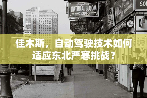 佳木斯，自动驾驶技术如何适应东北严寒挑战？